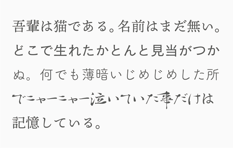 Webフォントって何 おすすめのフォントもご紹介 長野県のホームページ制作会社のブログ B S Life