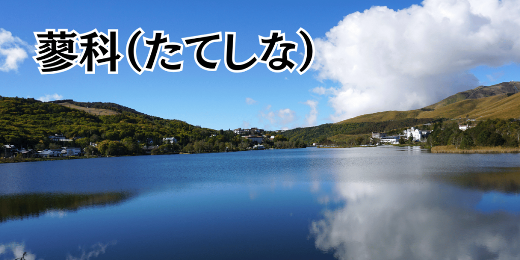 渋滞予測(蓼科)
