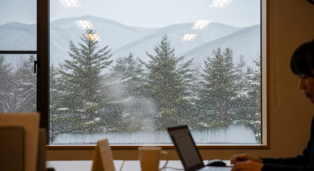 雪が降っている様子